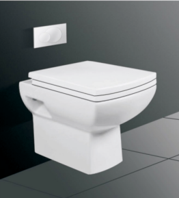 Wall Hung WC
